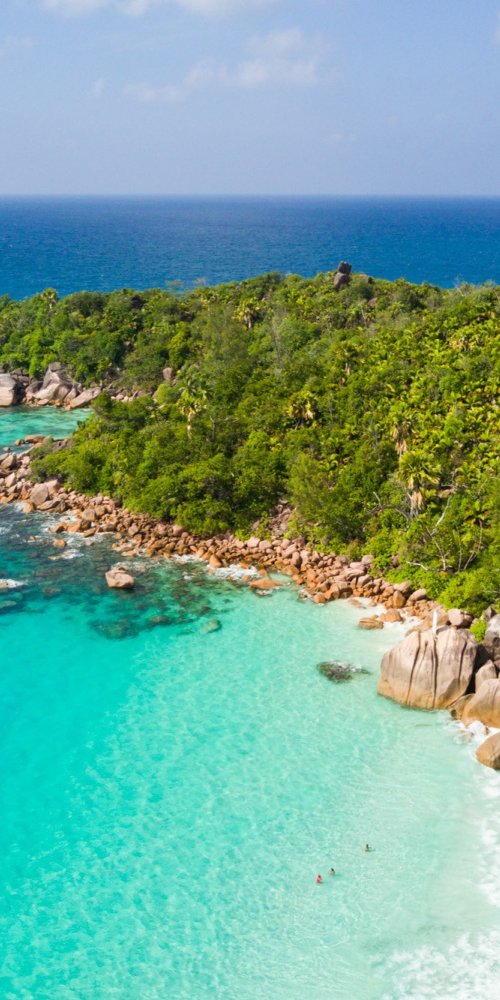 Passenger boarding a tram off-peak