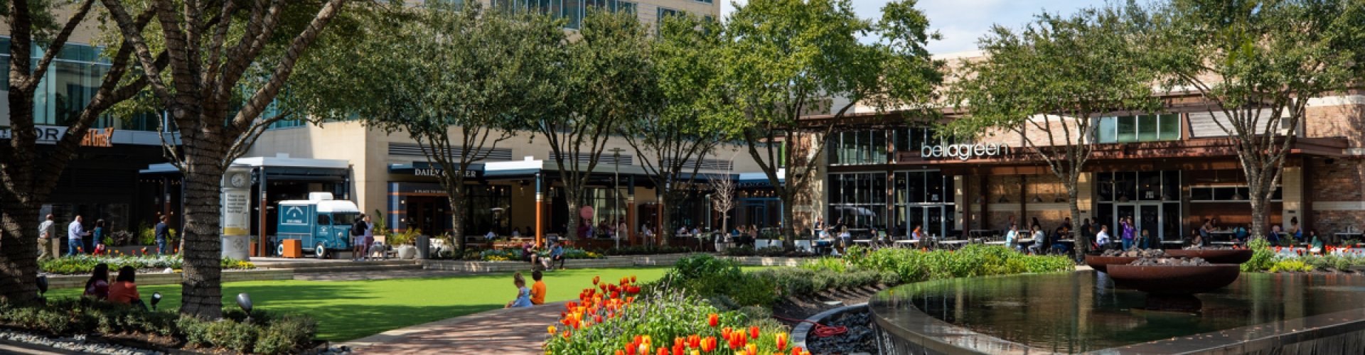 Houston public transit