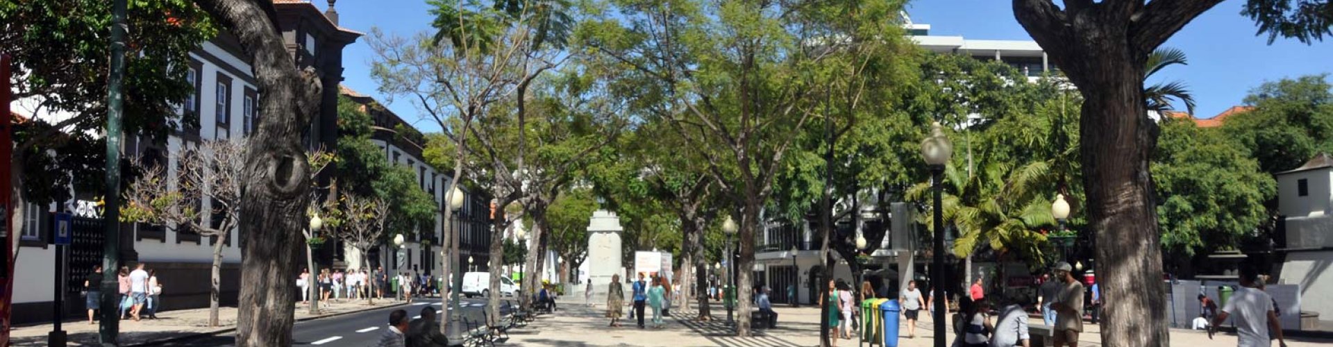 Vibrant Funchal city centre with tram and pedestrians
