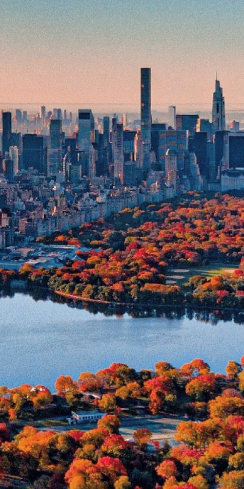 Quiet New York metro carriage at off-peak time