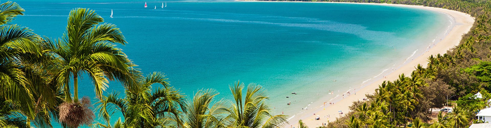 Night tram gliding over cobblestone street in Cairns