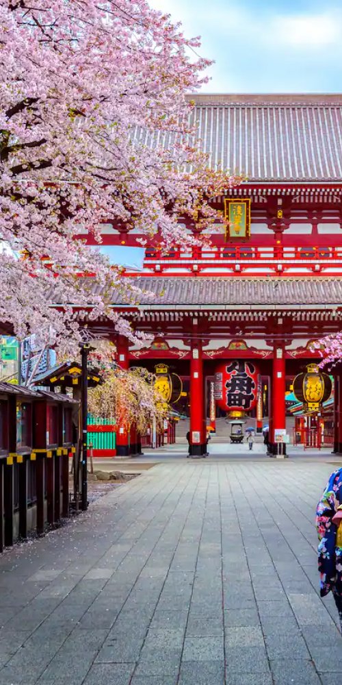 Commuters seated during off-peak metro ride in Tokyo