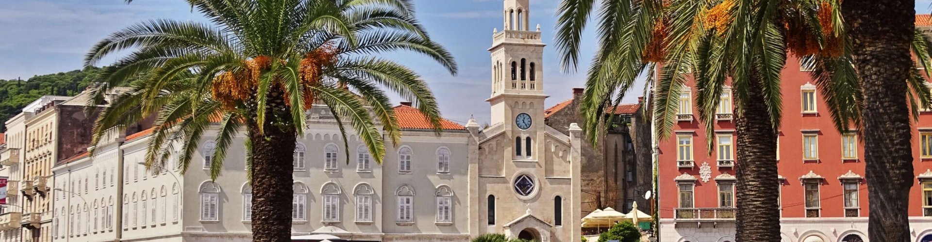 Split public transport scene