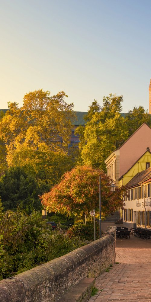 Evening tram in Speyer with passengers boarding