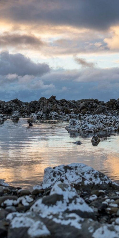Quiet off-peak tram in Kaikōura
