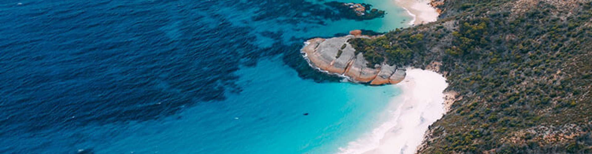 Albany public transport scene