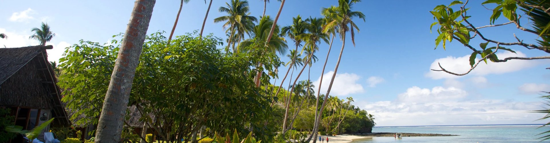 Night tram gliding on Sigatoka cobblestone street