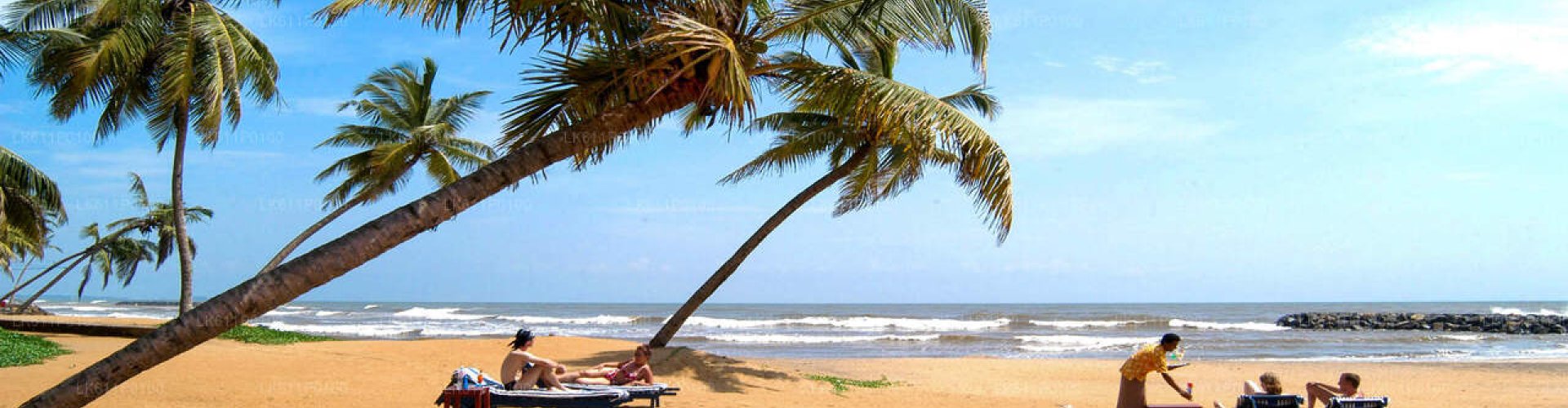 Busy Negombo transit hub with trams and buses