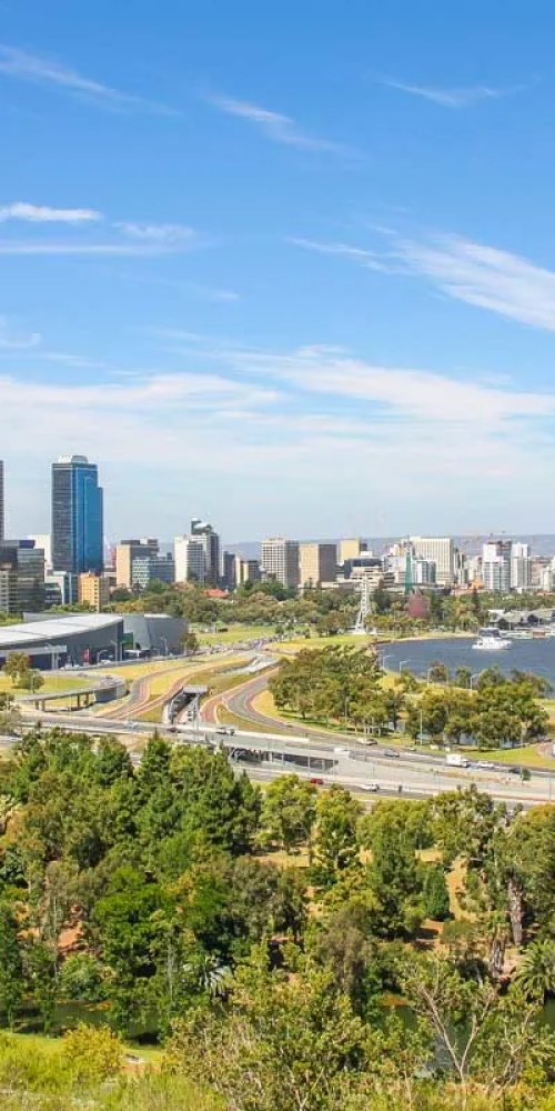 Passenger observing timetable on tram