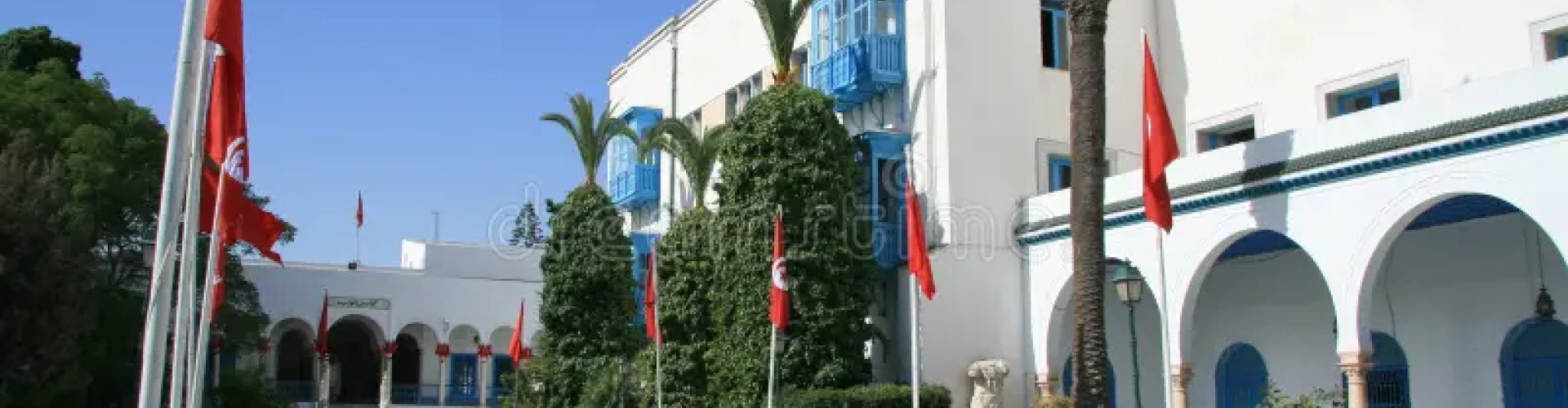 Tram in Le Bardo, TN, bustling city street