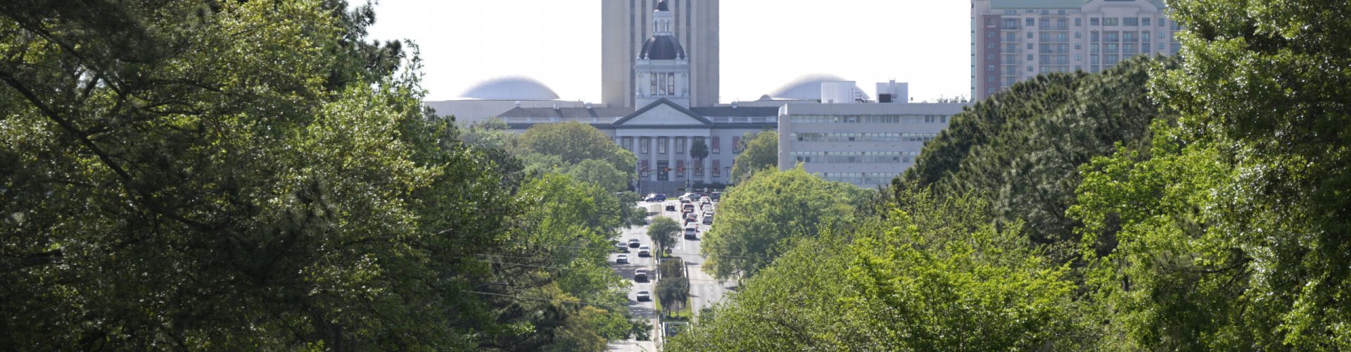Tallahassee downtown public transit stop