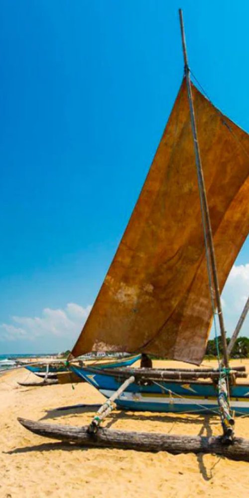 Inside a quiet tram during off-peak