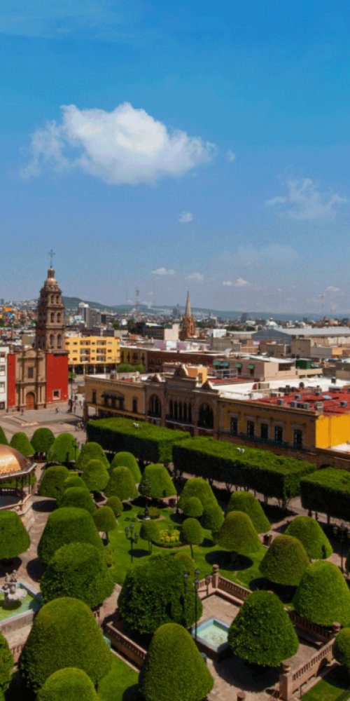 Busy metro train interior during peak hour