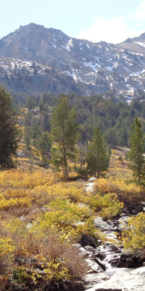 Peak hour metro commuters in Elko