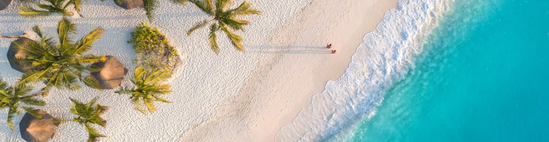 Zanzibar public transport hustle