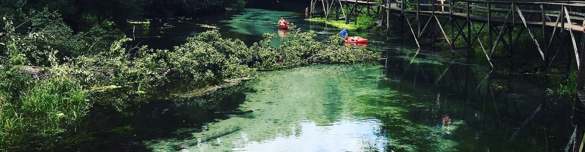 High Springs tram at station