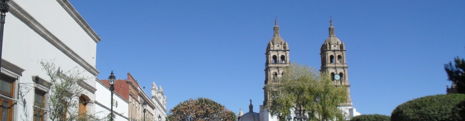 Durango tram arriving at station