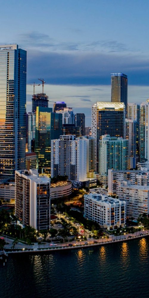 Miami Tram Among Palm Trees