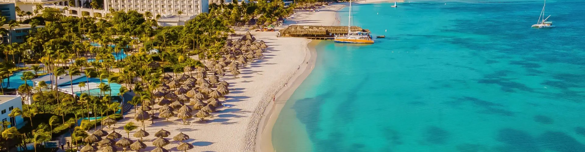 Metro train in Aruba, AW surrounded by palm trees
