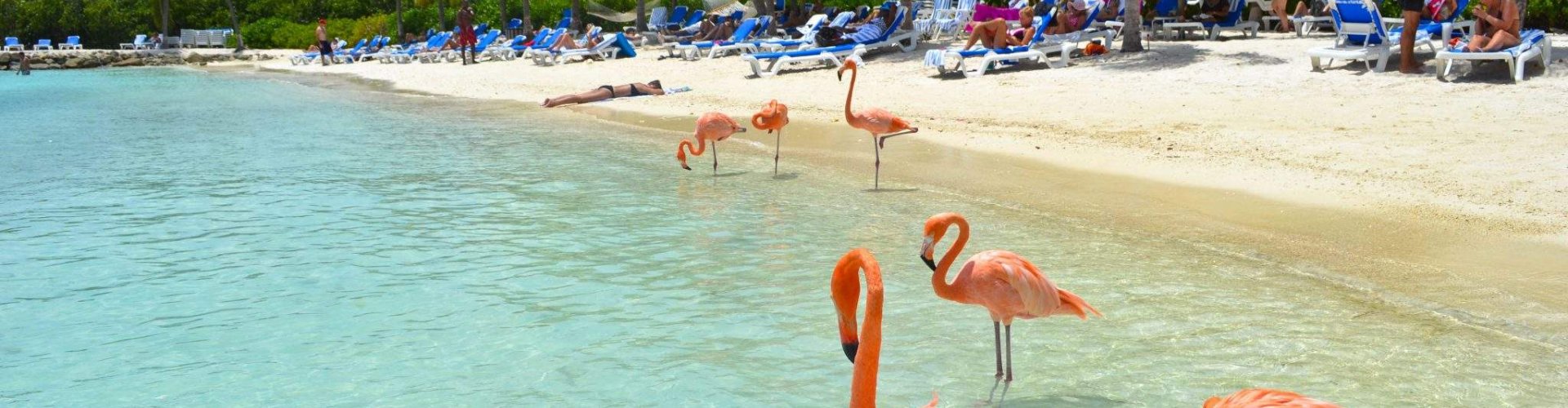 Night tram traversing cobblestone street in Aruba, AW