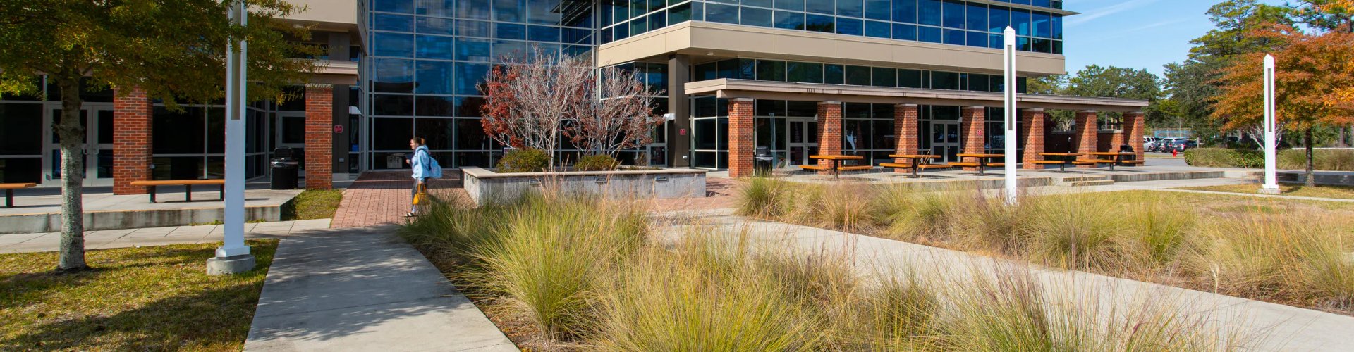 Night tram gliding over cobblestone street in Niceville